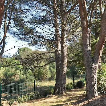 Le Bastidou * Le Plan-de-la-Tour